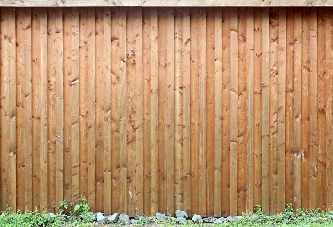 Clôture en lames de bois verticales bordée de végétation